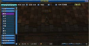 暢游首款3D MMORPG大作 從研發到推廣的全方位探索