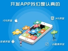 玉樹(shù)小程序開(kāi)發(fā)公司 專業(yè)軟件研發(fā)與高效推廣服務(wù)