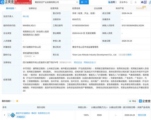 雅安低空產業發展公司成立 布局航空、衛星與信息系統集成新賽道